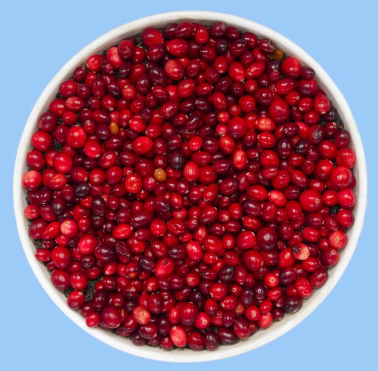 red round fruits on white ceramic bowl